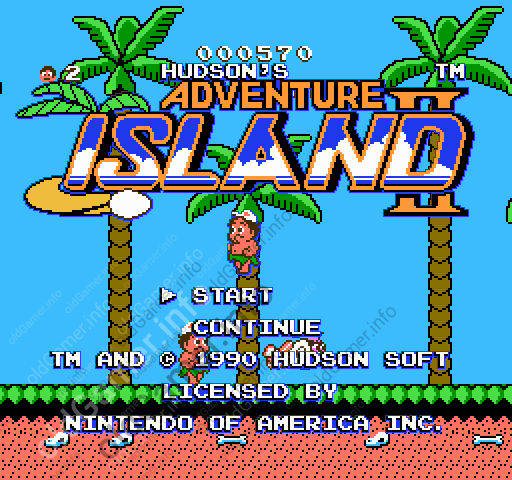 Hudson's Adventure Island II